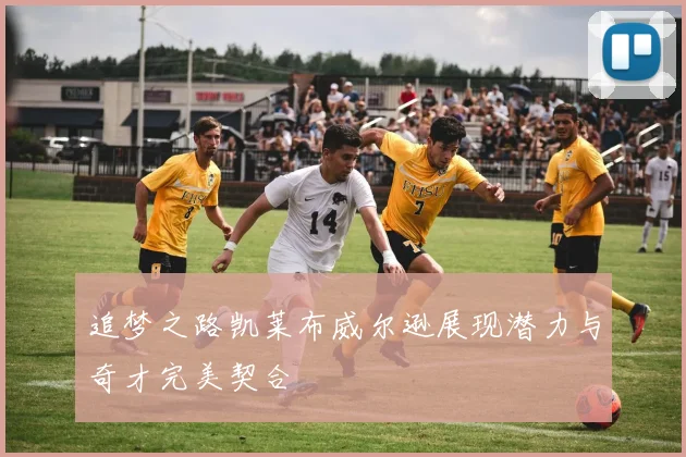 追梦之路凯莱布威尔逊展现潜力与奇才完美契合