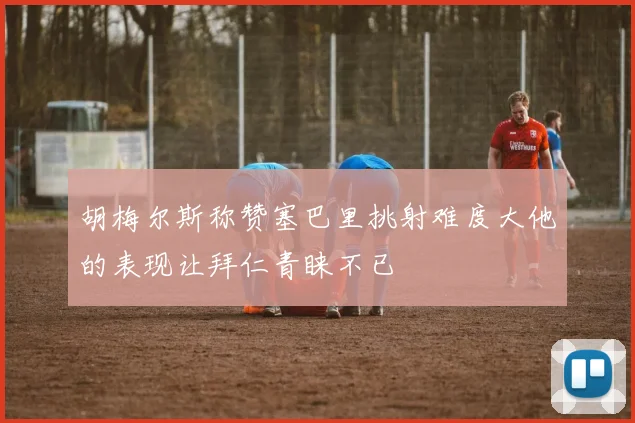 胡梅尔斯称赞塞巴里挑射难度大他的表现让拜仁青睐不已