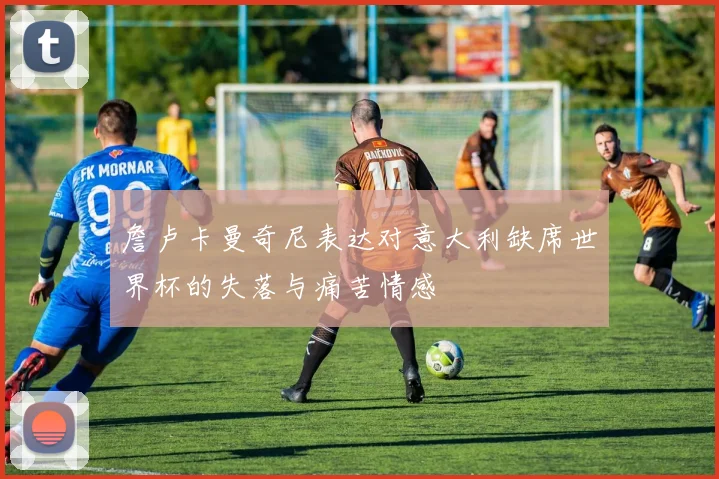 詹卢卡曼奇尼表达对意大利缺席世界杯的失落与痛苦情感